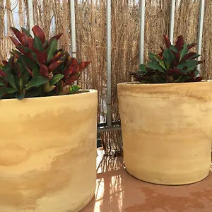  Hébergement de vacances Casa Leon Blanco Reformada Centrica Con Chimenea Y Terraza Con Vistas